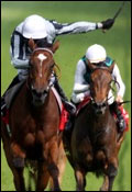Epsom Derby Betting
